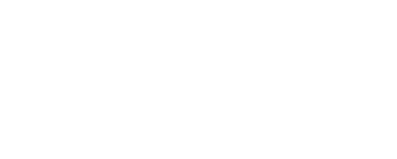 INCES